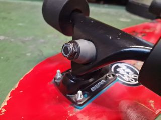 Skate Z-flex Pro con ejes Surf Skate BEAR