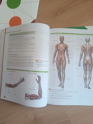 Biología y Geología 3°Eso 3 libros 