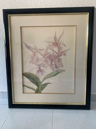 Cuadro orquídea