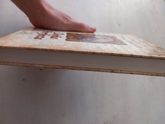 Libro doña perfecta