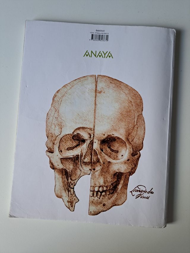 ANATOMIA APLICADA 1 Bachto Anaya