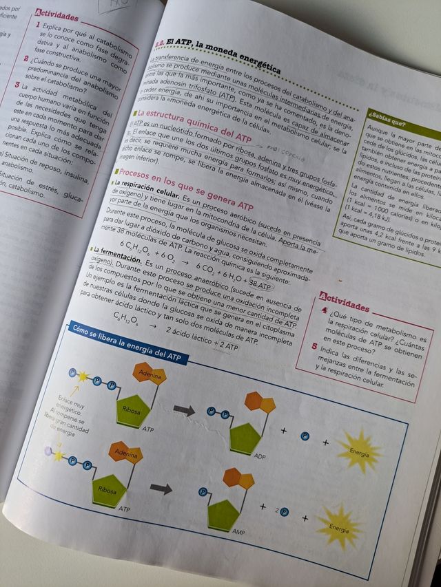 ANATOMIA APLICADA 1 Bachto Anaya