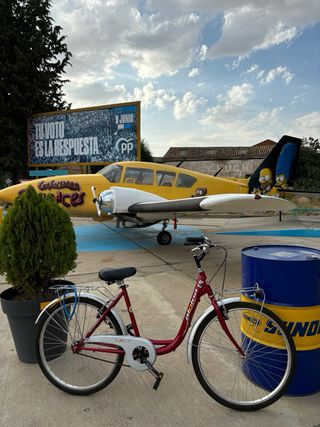 Bicicleta de paseo Alpina