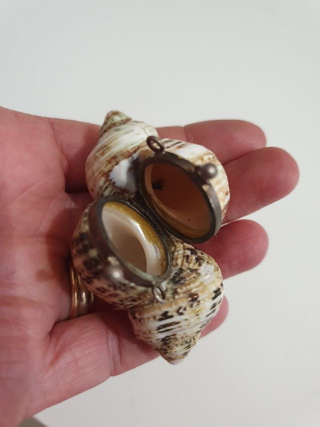 Ciondolo conchiglia porta pillole