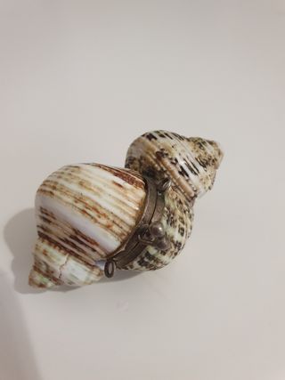 Ciondolo conchiglia porta pillole