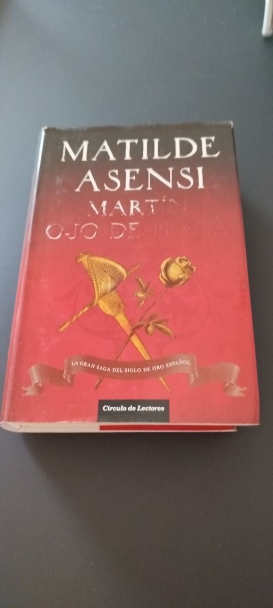 MARTIN OJO DE PLATA. MATILDE ASENSI