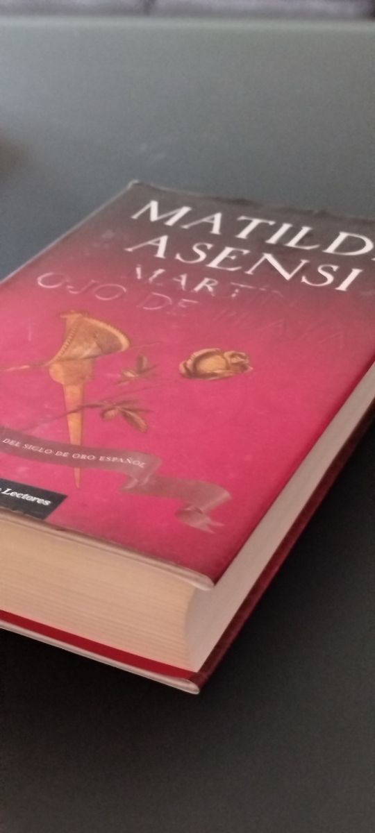 MARTIN OJO DE PLATA. MATILDE ASENSI