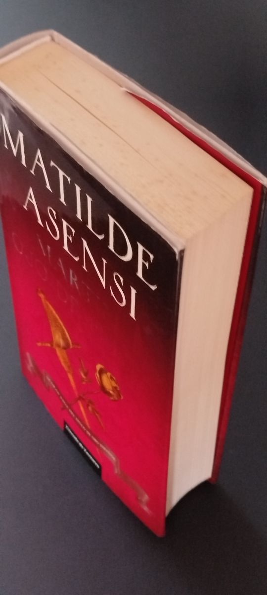 MARTIN OJO DE PLATA. MATILDE ASENSI