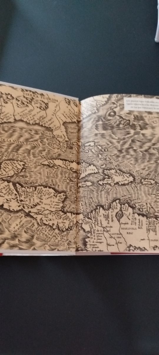 MARTIN OJO DE PLATA. MATILDE ASENSI