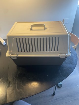Transportin para perros y gatos