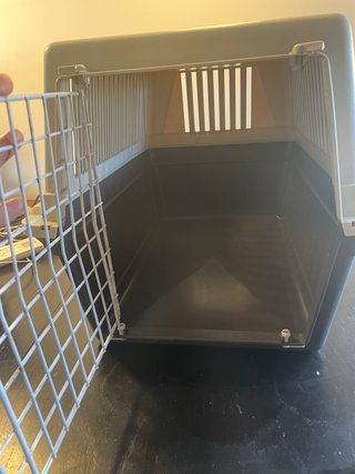 Transportin para perros y gatos