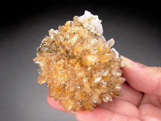 Minerali Collezione Creedite Mina Navidad Mexico