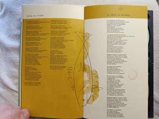 Joaquín Sabina, Diario de un Peatón