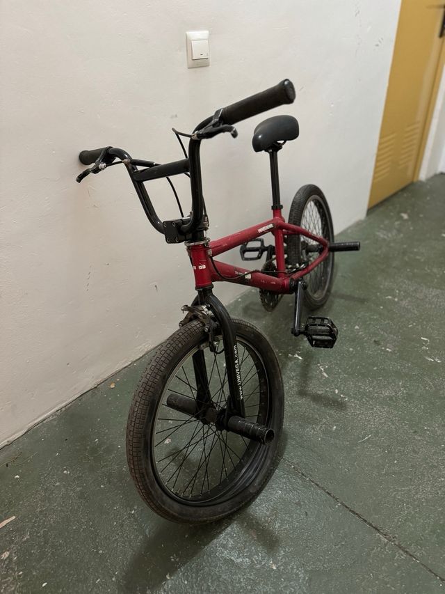 Bicicleta UNIVEGAEARL