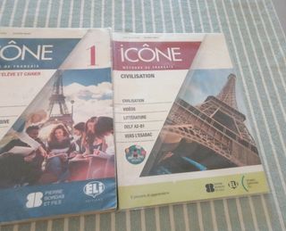 Icone 1 + libro attivitá