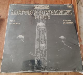 Disco in vinile 33 giri LP