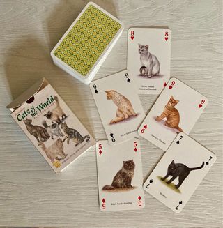 Carte da poker con gatti