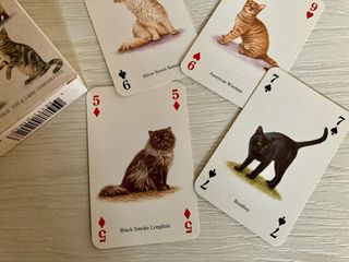 Carte da poker con gatti