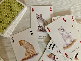 Carte da poker con gatti