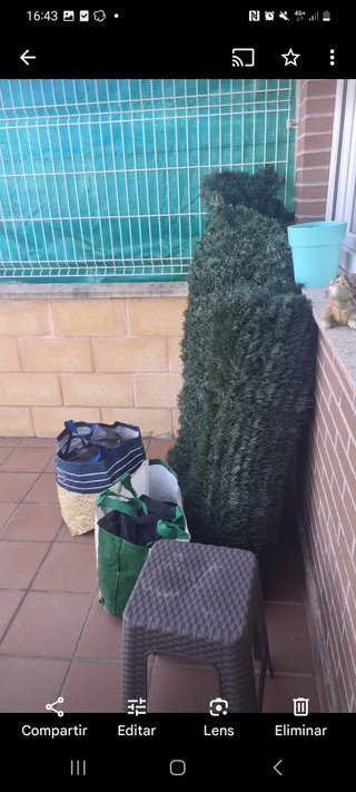 Césped artificial y seto de ocultación