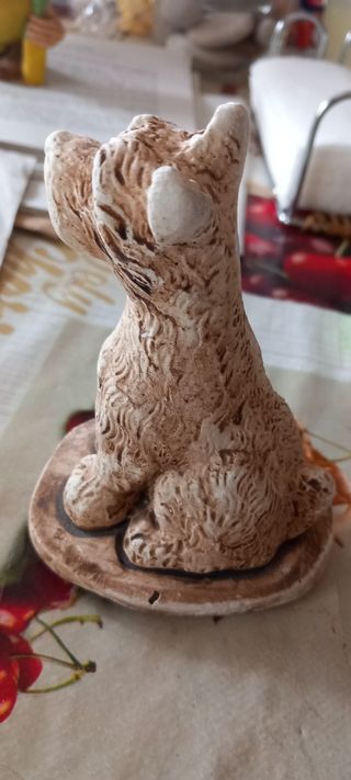 Cagnolino simpatico 