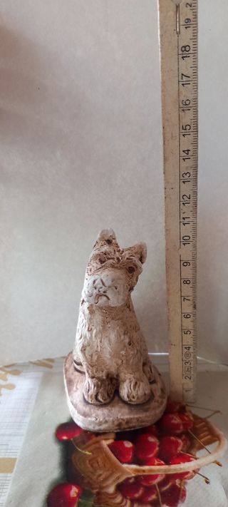 Cagnolino simpatico 