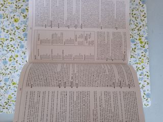 Diccionario Lengua Española Secundaria