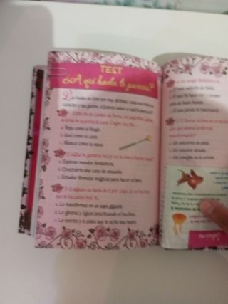 El secreto de las hadas de Tea Stilton