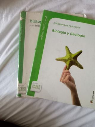 Libro bachillerato