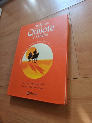 Andanzas de don Quijote y Sancho