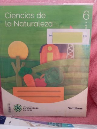 Libros 1ro-6to Primaria.Santillana. 1ro ESO.OXFORD