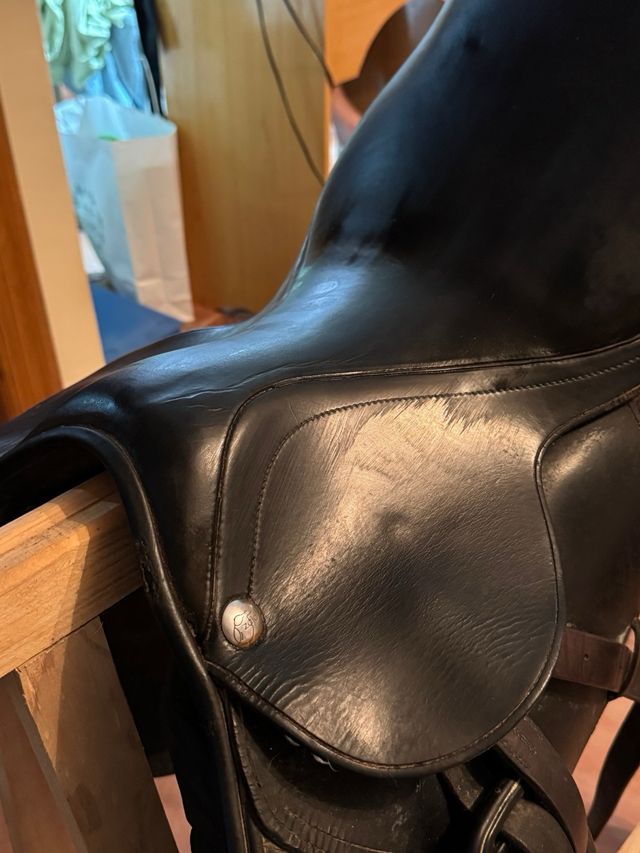 Montura de hipica (salto)