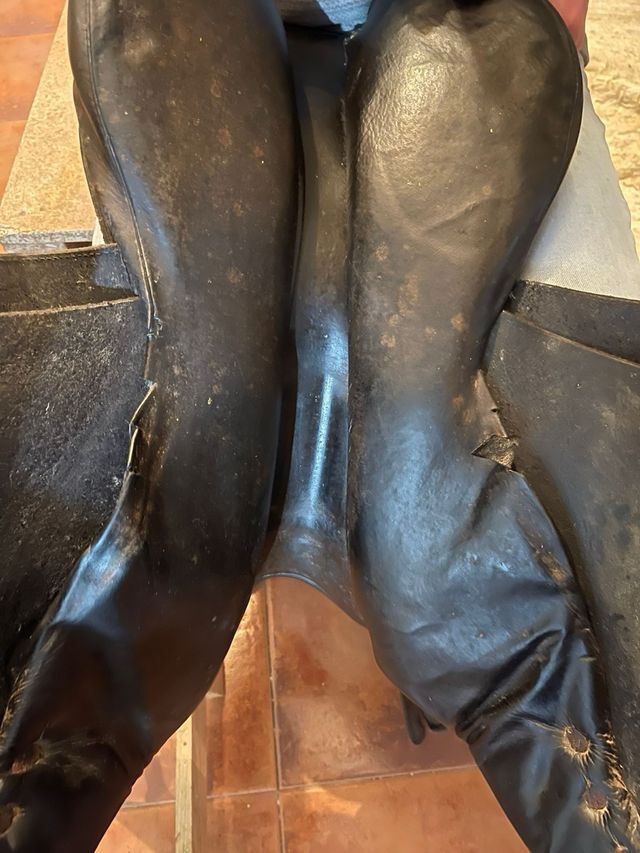 Montura de hipica (salto)