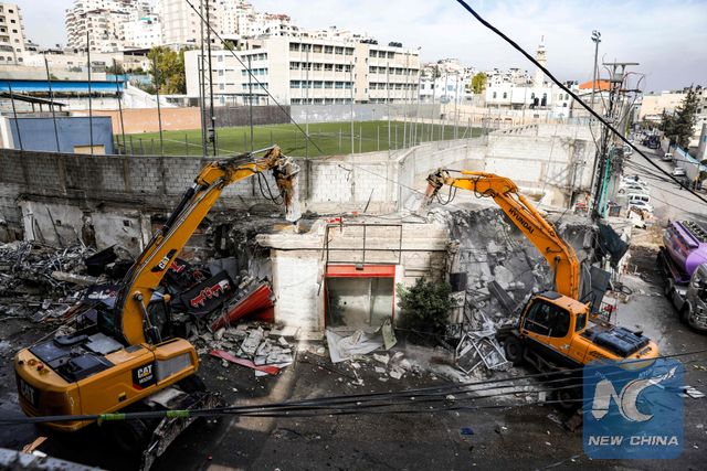 Retirada escombros y poda