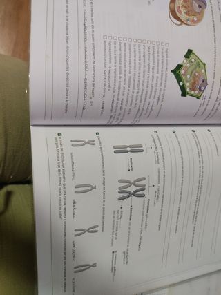 Libre Biología i geología