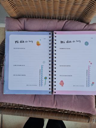 Libro Mi diario de la felicidad