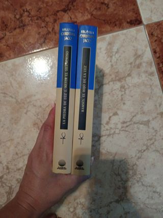 Biblioteca antiguo egipto