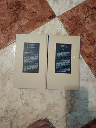 Biblioteca antiguo egipto