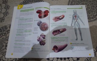 Libros de texto Biología y Geología 3 ESO ANAYA