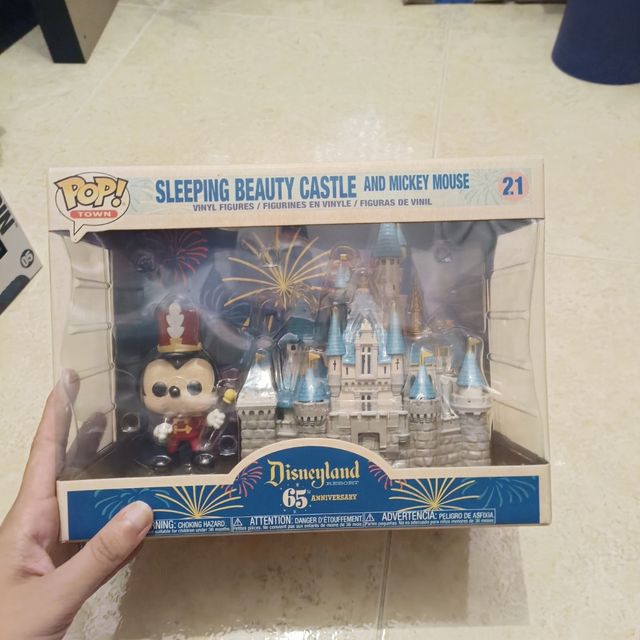 Sleeping beauty castle and Mickey mouse