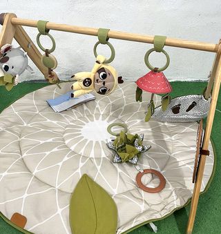 Gimnasio infantil, Tiny Love