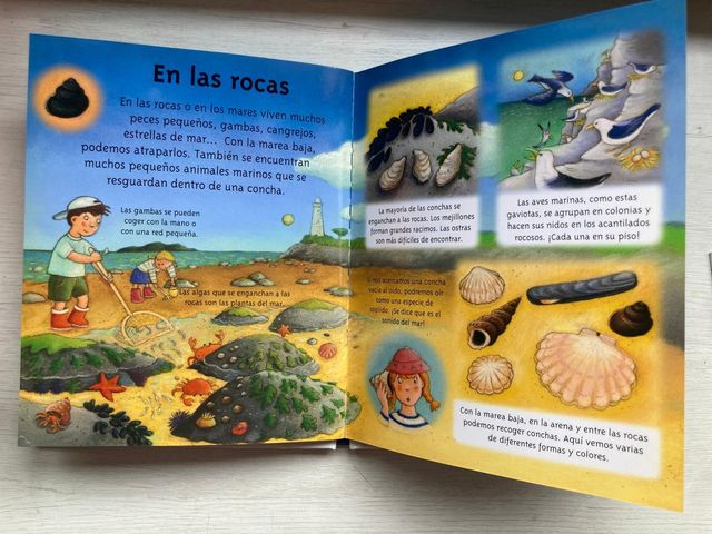 Libro diccionario de los peques: El Mar