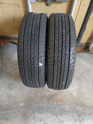 Vendo 2 Neumáticos en perfecto estado 
