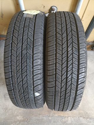Vendo 2 Neumáticos en perfecto estado 