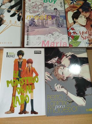 Lote 7 libros anime manga + 3 REGALO!!!