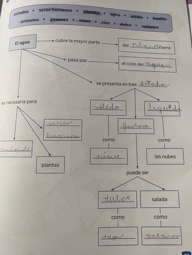Competenza linguistica CLOE Libro 2