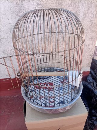 Jaula pájaros