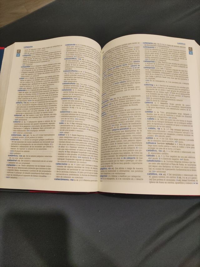 Diccionario secundaria y bachillerato 