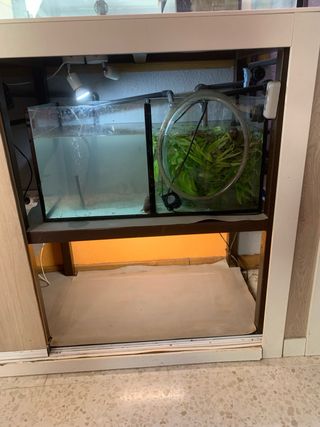 Acuario 600 L con mueble