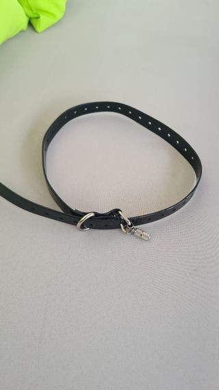 Collar mascota